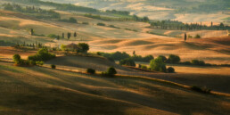 tuscany autumn fields uai